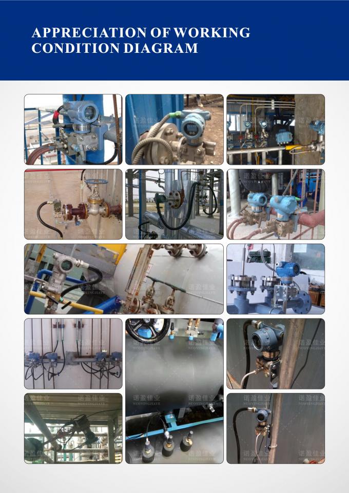 এক্স-প্রুফ রাডার ট্যাঙ্ক লেভেল ইন্ডিকেটর 1