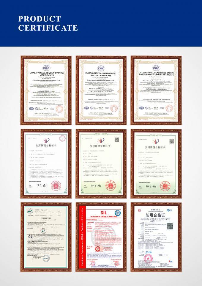 এক্স-প্রুফ রাডার ট্যাঙ্ক লেভেল ইন্ডিকেটর 4