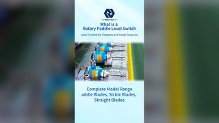 উচ্চ টেম্প রোটারি প্যাডেল লেভেল সুইচ